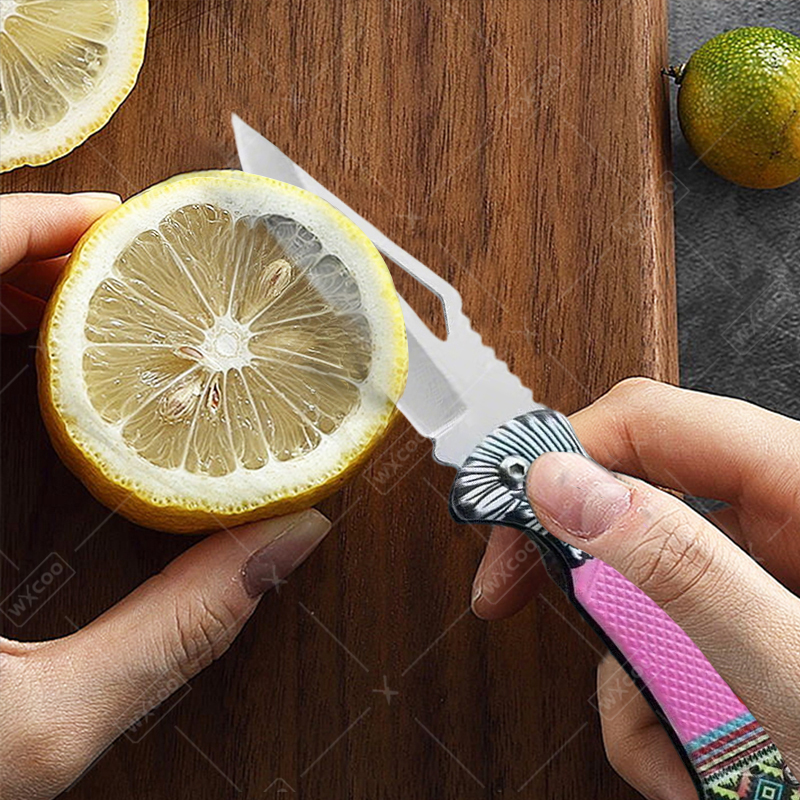 WXCOO Folding Knife Stainless  - Kitchen Q review and price