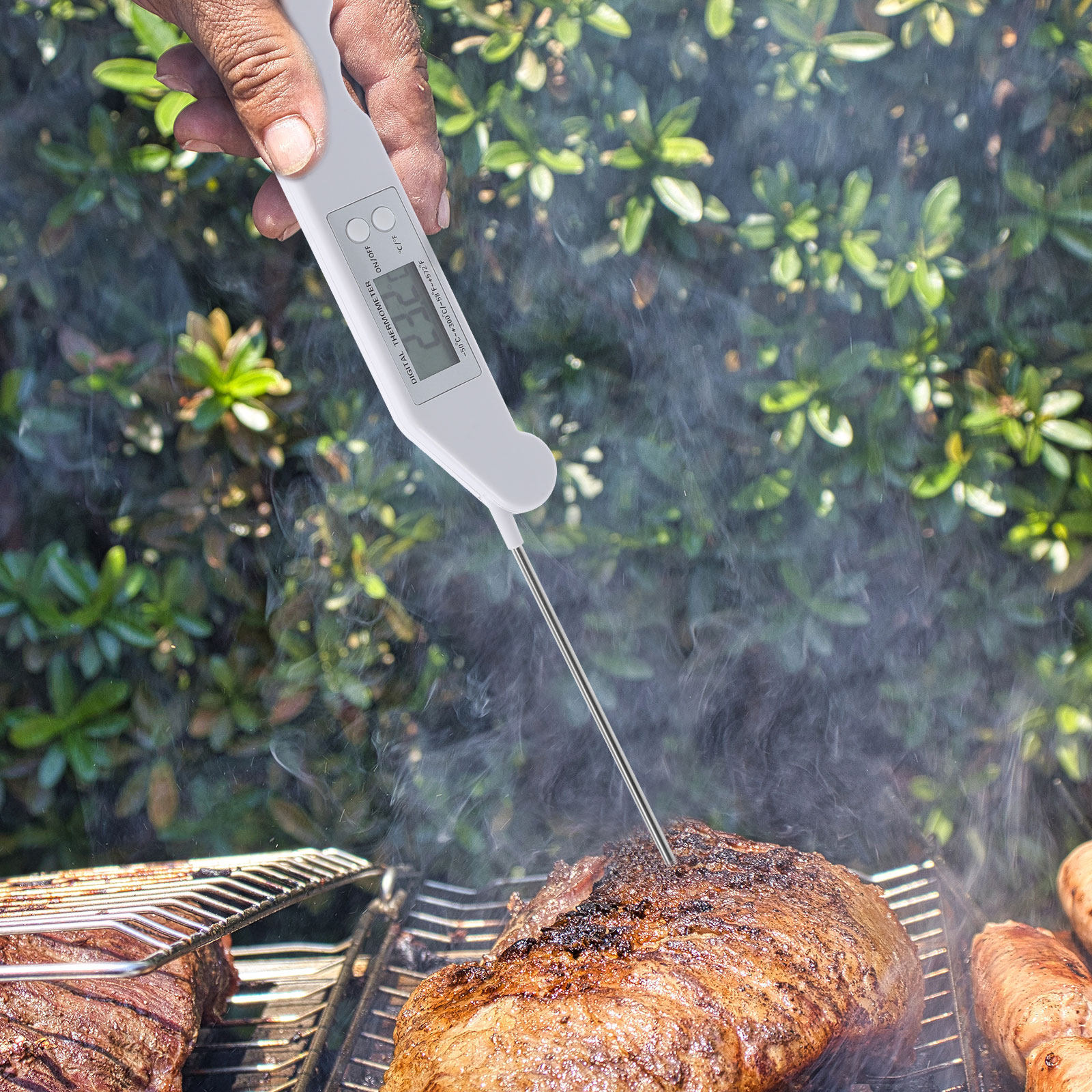 Folding Electronic Thermometer - Kitchen Baking Utensil review and price